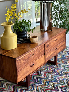 Mid-Century Media Cabinet / Chest