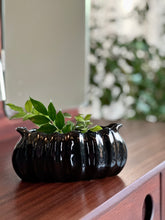 Load image into Gallery viewer, Collection of Mid-Century Lucia Ware Ceramics
