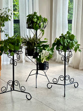 Load image into Gallery viewer, Retro Black Plant Stands - Sold Separately
