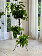 Load image into Gallery viewer, Retro Black Plant Stands - Sold Separately

