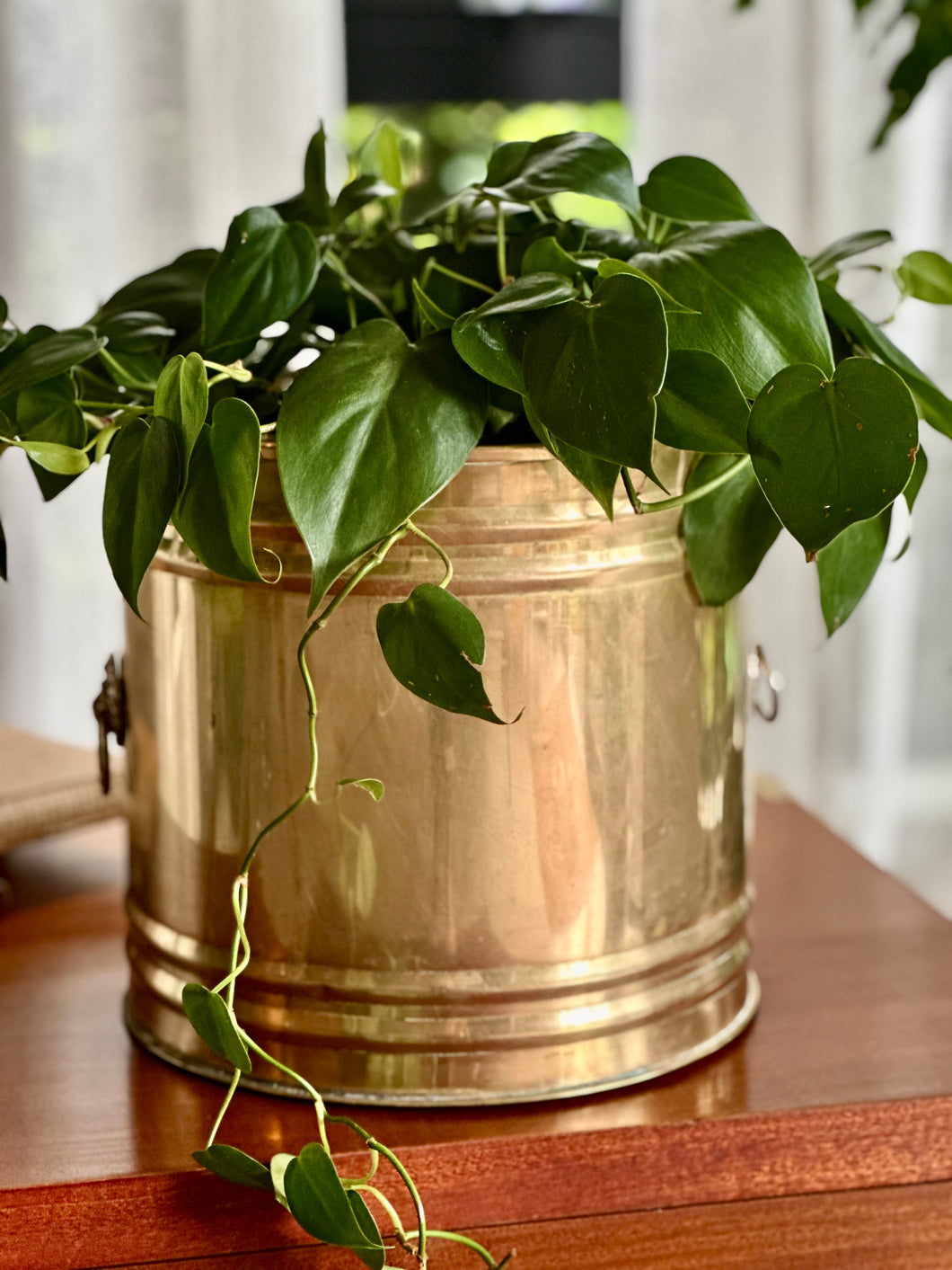 Brass Planter with Beveled Detail