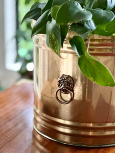 Brass Planter with Beveled Detail