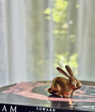 Load image into Gallery viewer, Petite Solid Brass Rabbit
