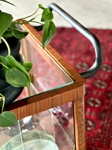 Original “Thonet” Drinks Cart with Glass Surround and Top