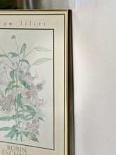 Load image into Gallery viewer, Framed Print, Titled: Rubrum Lilies - Robin Escher Camp
