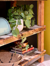 Load image into Gallery viewer, Multipurpose "Pigeon-Hole" Tiered Cabinet

