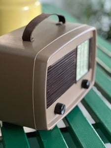 "Little Maestro" Pilot Bluetooth Stereo