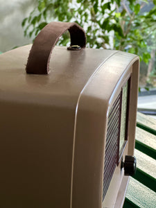 "Little Maestro" Pilot Bluetooth Stereo