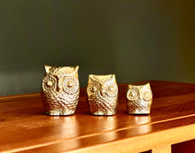 Load image into Gallery viewer, Set of Three Brass Owls
