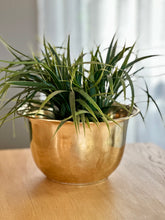 Load image into Gallery viewer, Brass Planter
