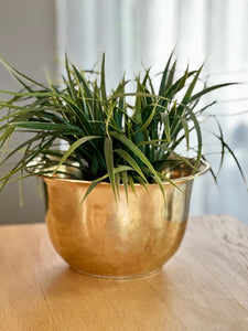 Brass Planter