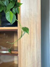 Load image into Gallery viewer, Tall Haberdashery / Multipurpose Cabinet
