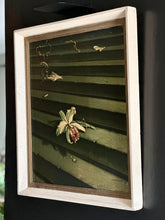 Load image into Gallery viewer, Orchid on Stairs (Fallen Orchid) - Tretchikoff Framed Print
