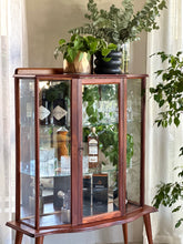 Load image into Gallery viewer, Versatile Retro Drinks / Display Cabinet
