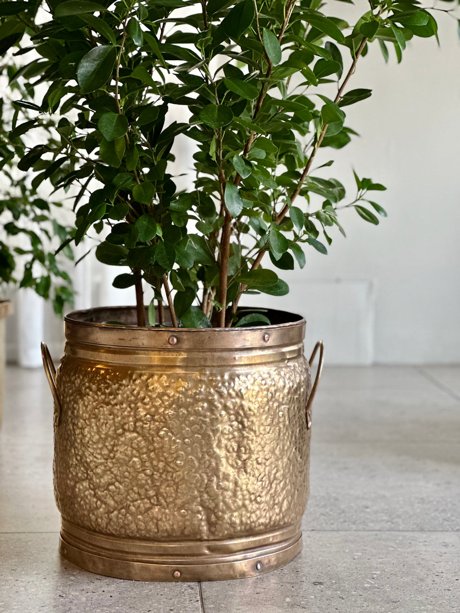 Brass Planter – RE-TREND