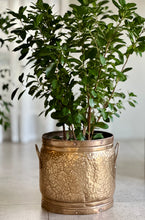 Load image into Gallery viewer, Brass Planter
