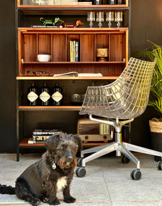 Mid-Century Unit