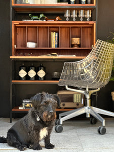 Mid-Century Unit