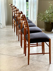 6 Swedish "Gracell" Chairs by Yngve Ekström - SET