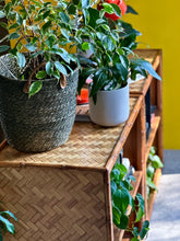 Load image into Gallery viewer, A Pair of Vintage Campaign Style Cane Bookshelves
