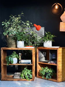 A Pair of Vintage Campaign Style Cane Bookshelves