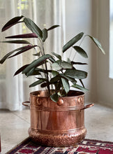 Load image into Gallery viewer, Red Copper Planter
