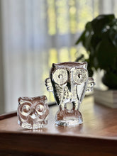 Load image into Gallery viewer, Owl Glass Paperweight Pair
