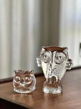 Load image into Gallery viewer, Owl Glass Paperweight Pair

