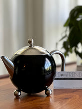 Load image into Gallery viewer, G&amp;H Tea Services &quot;Painted Ladies&quot; Steel Teapot
