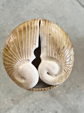 Load image into Gallery viewer, MCM Pottery Shell Bowl
