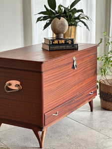 Retro “Camphor” Storage Kist
