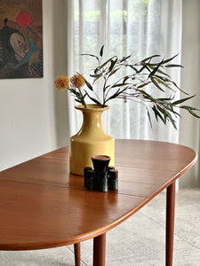 Mid-Century Meredew Extendable Dining Table