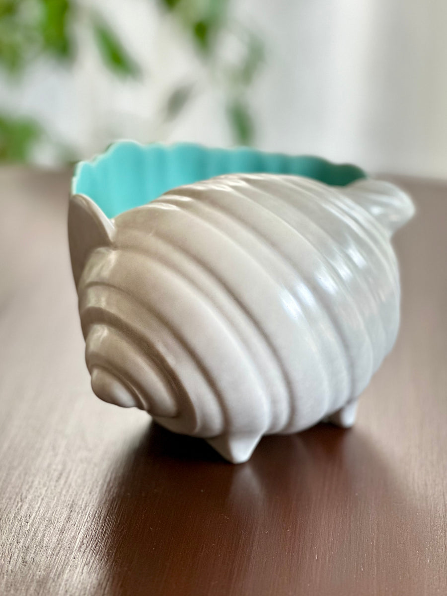 Winkle Shell by Poole – RE-TREND