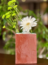 Load image into Gallery viewer, Retro Stem Vase
