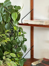 Load image into Gallery viewer, Mid-Century CADO Wall Unit
