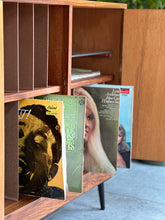 Load image into Gallery viewer, Mid-Century Records | LP Storage Cabinet
