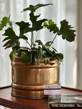Load image into Gallery viewer, Medium | Large Solid Brass Planter
