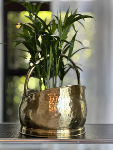 Brass Scuttle - Medium Planter