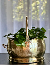 Load image into Gallery viewer, Brass Scuttle - Medium Planter
