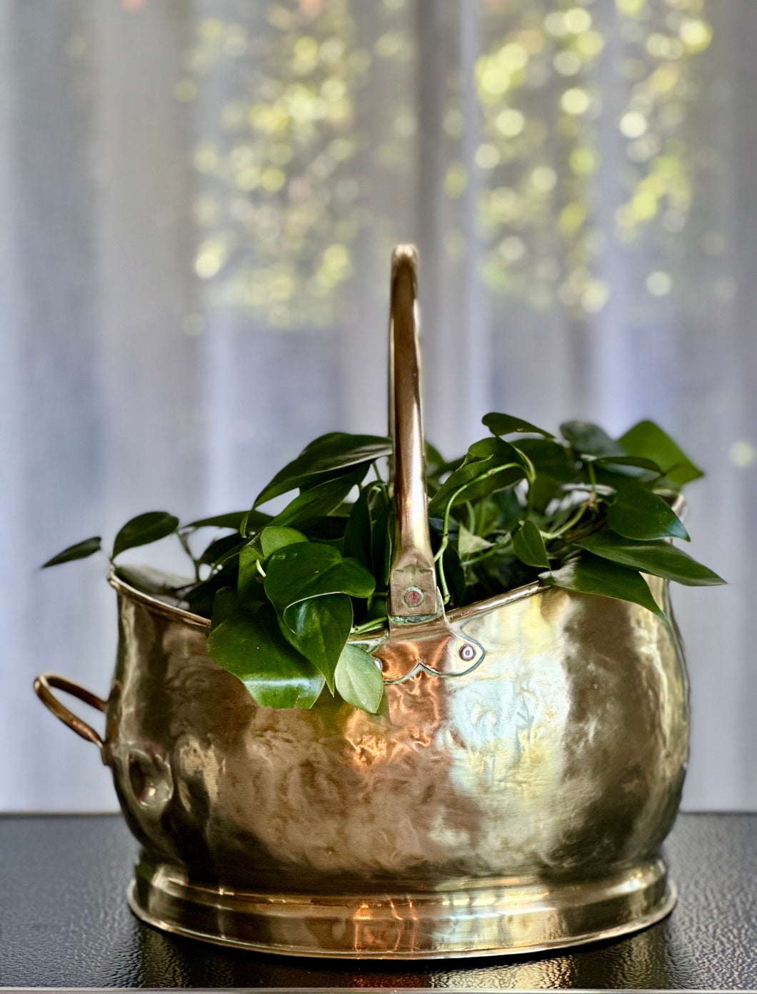 Brass Scuttle - Medium Planter