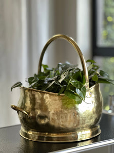 Brass Scuttle - Medium Planter