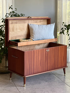 Retro Storage Kist