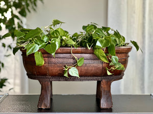 African Hand-Carved Wooden Vessel / Planter