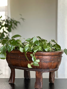 African Hand-Carved Wooden Vessel / Planter