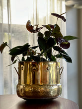 Load image into Gallery viewer, Large Brass Pot
