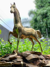 Load image into Gallery viewer, Vintage Solid Brass Horses
