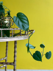 Vintage Brass Tray Table