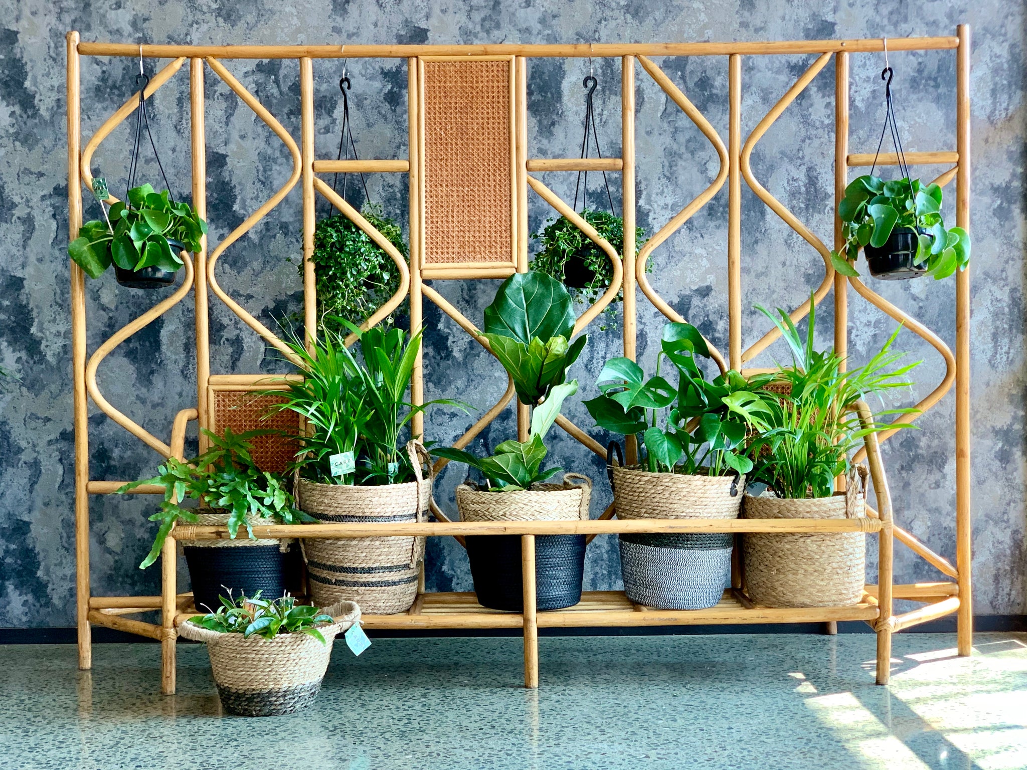 indoor plants as room dividers Cane room divider / plant stand – RE-TREND