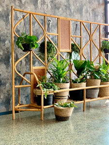 Cane room divider / plant stand