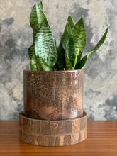 Load image into Gallery viewer, Glass &amp; Wooden Base Planter
